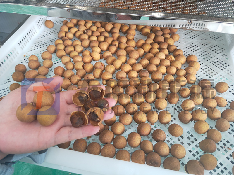 天杰新能源?；葜蔟堁酆娓蓹C(jī)開機(jī)大吉